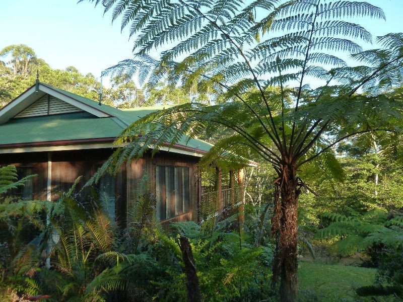 RN 239 Russell Pocket Road, Yungaburra QLD 4884