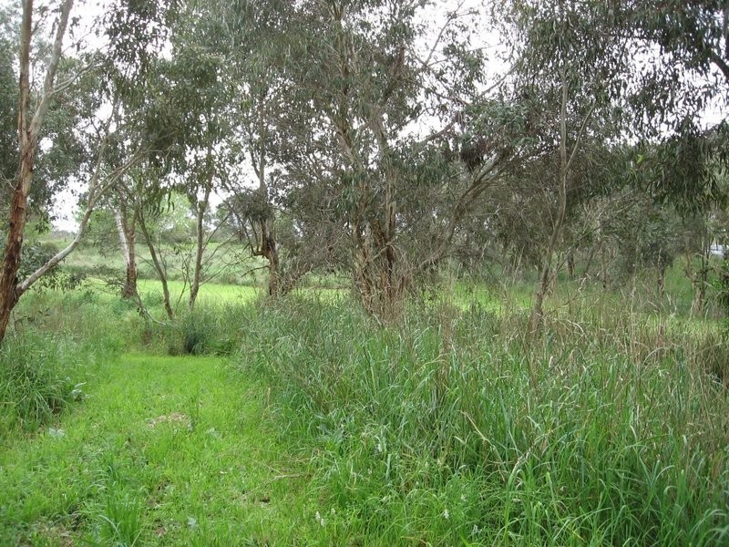 18A Webb Street, Macclesfield SA 5153