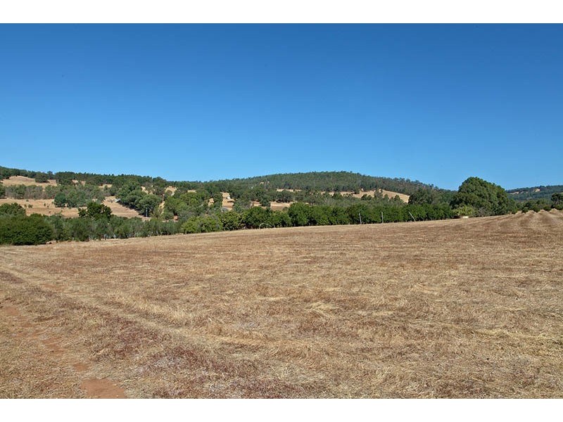 2507 Toodyay Road, Gidgegannup WA 6083