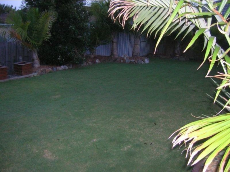 42 Doolan Street, Ormeau QLD 4208