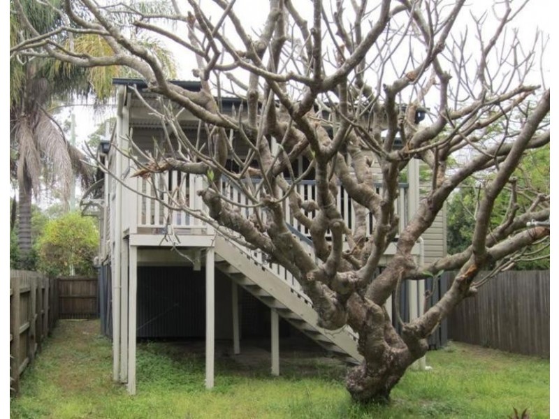 29 Northey Street, Windsor QLD 4030