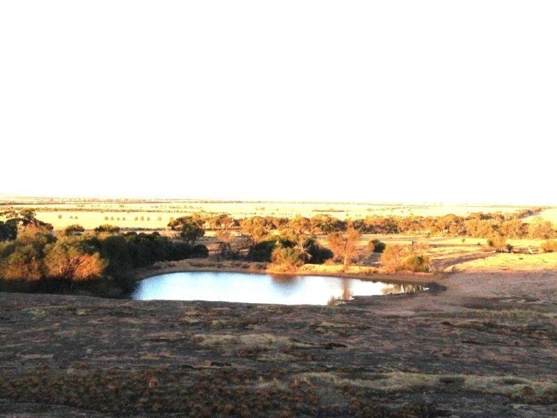 49 McGellin Road, Bruce Rock WA 6418