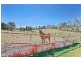 34 Menangle Road, Glen Alpine NSW 2560
