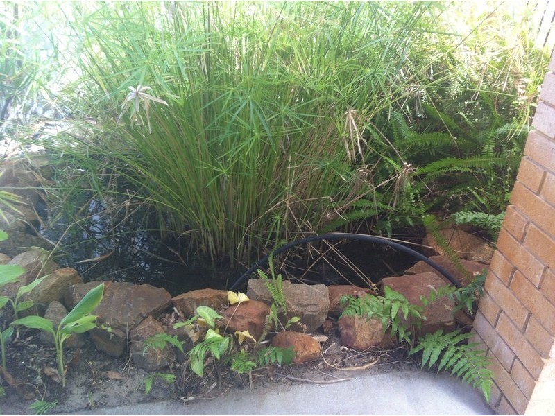 17 Jaeger Square, Ballajura WA 6066