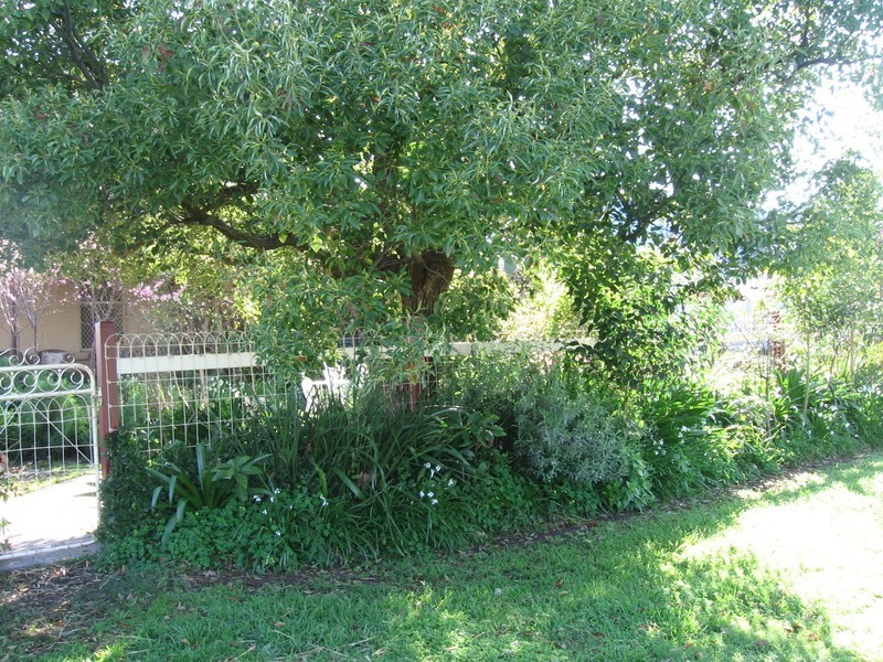 354 Tribune Street, Albury NSW 2640