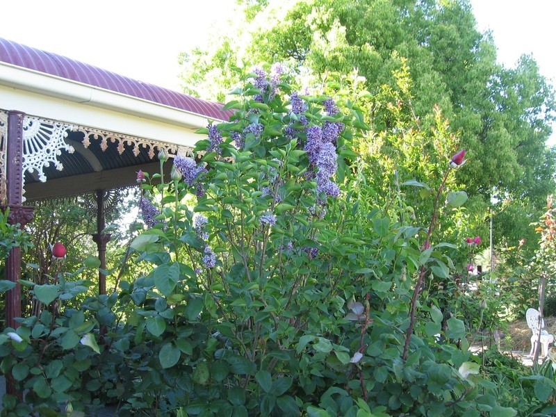 354 Tribune Street, Albury NSW 2640