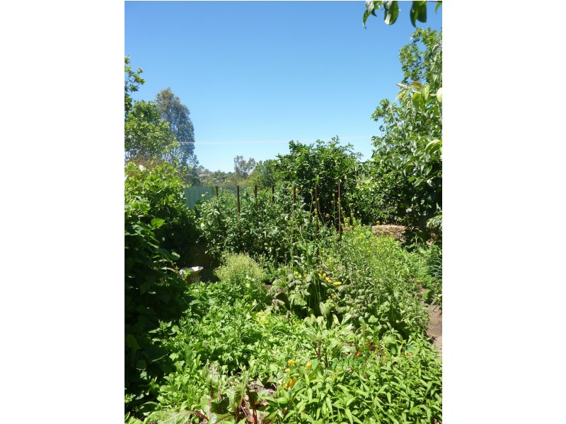 354 Tribune Street, Albury NSW 2640