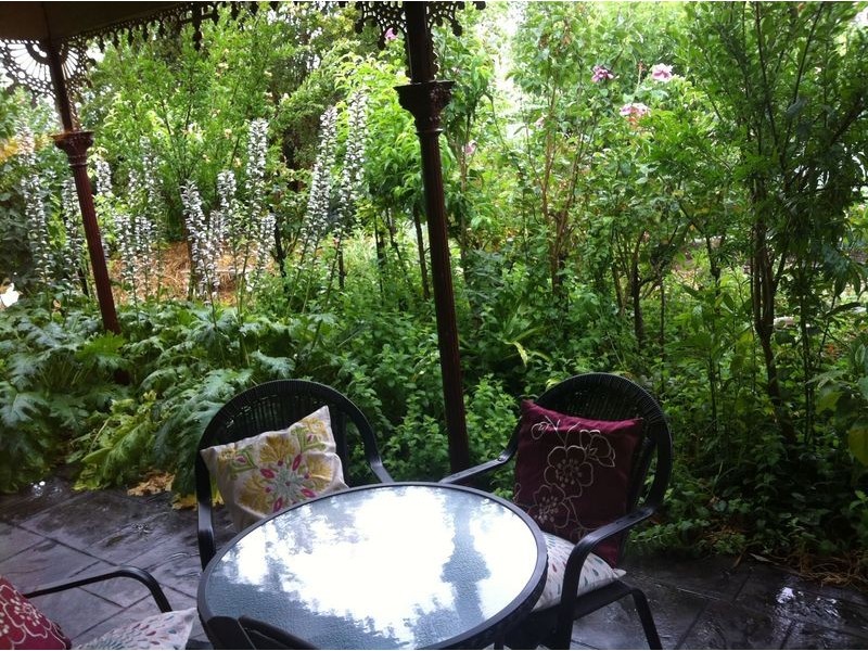 354 Tribune Street, Albury NSW 2640