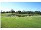 258 Gresford Road, Singleton NSW 2330