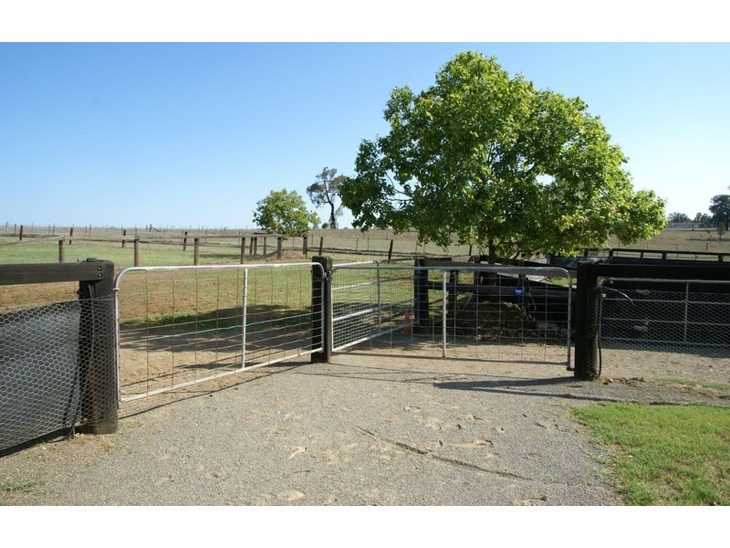 258 Gresford Road, Singleton NSW 2330