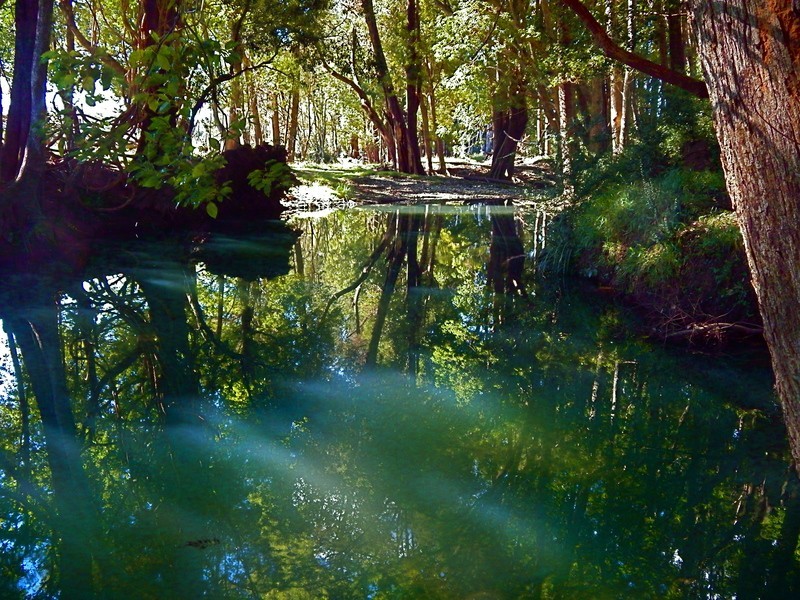 959 Orara Way, Nana Glen NSW 2450