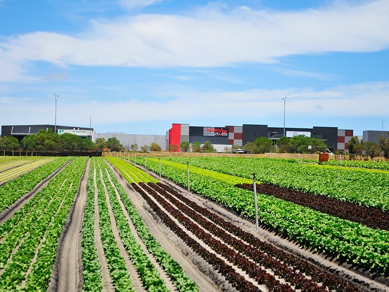 159 Badgerup Road, Wanneroo WA 6065