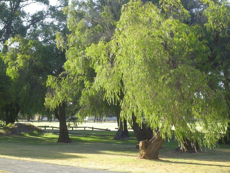 1 Queensbury Street, South Bunbury WA 6230