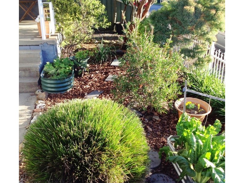 15 Tarin St, Mayfield NSW 2304