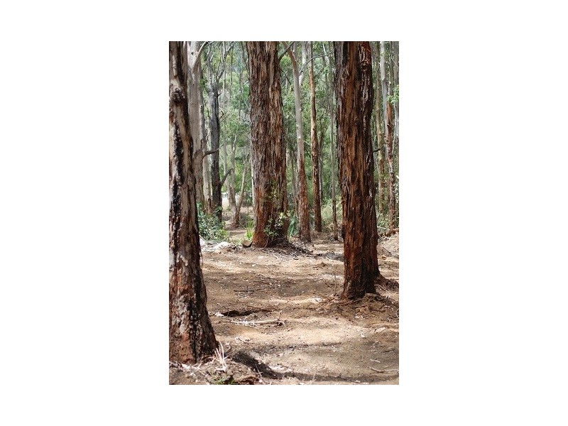 57  Bracknell Crescent, Denmark WA 6333