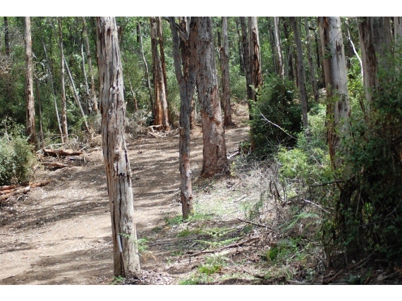 57  Bracknell Crescent, Denmark WA 6333