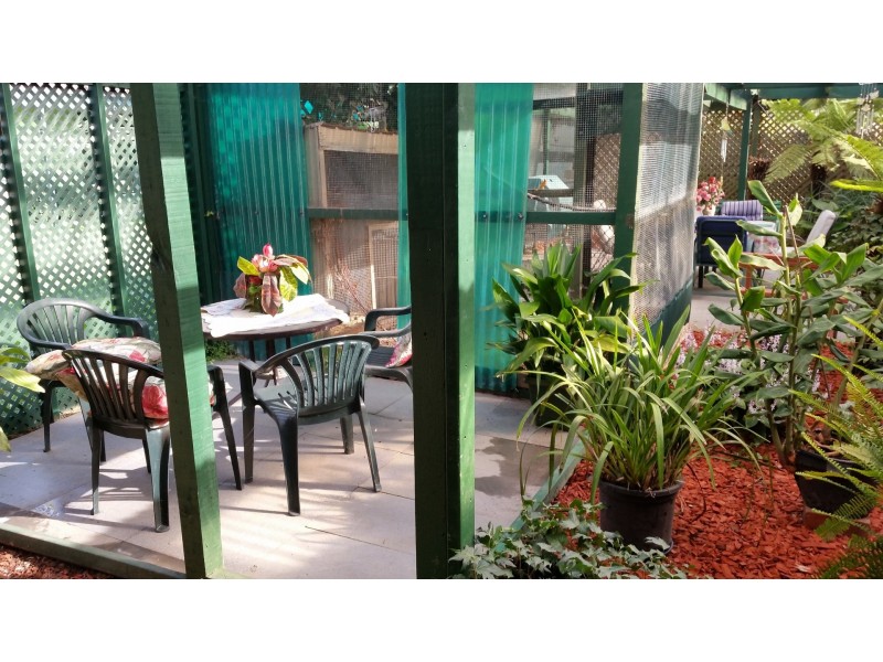 117 – 117A Winter Street, Ballarat Central VIC 3350