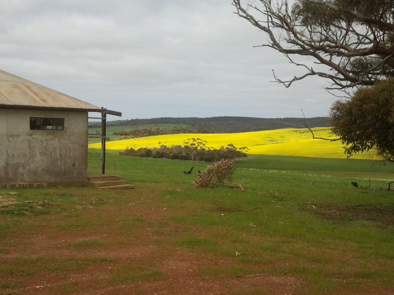 905 Charlton Gully Road, Charlton Gully SA 5607