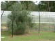 Ashby Heights NSW 2463