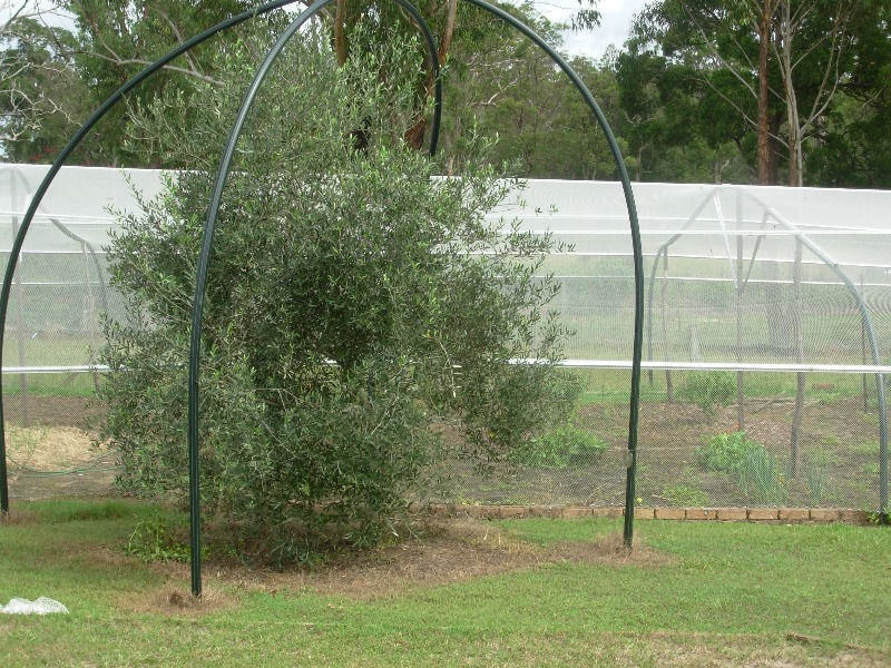 Ashby Heights NSW 2463