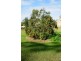 Ashby Heights NSW 2463