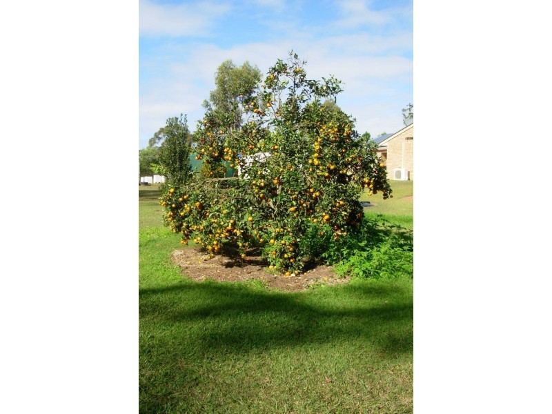 Ashby Heights NSW 2463
