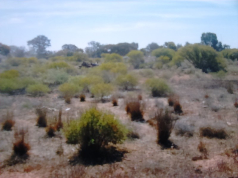 1 Cemetry Road, Morgan SA 5320