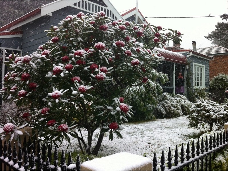 3 Goyder Avenue, Katoomba NSW 2780