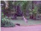 Lot 1 Annan Road, Cooktown QLD 4895