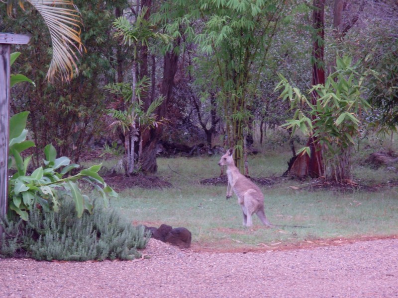 Lot 1 Annan Road, Cooktown QLD 4895