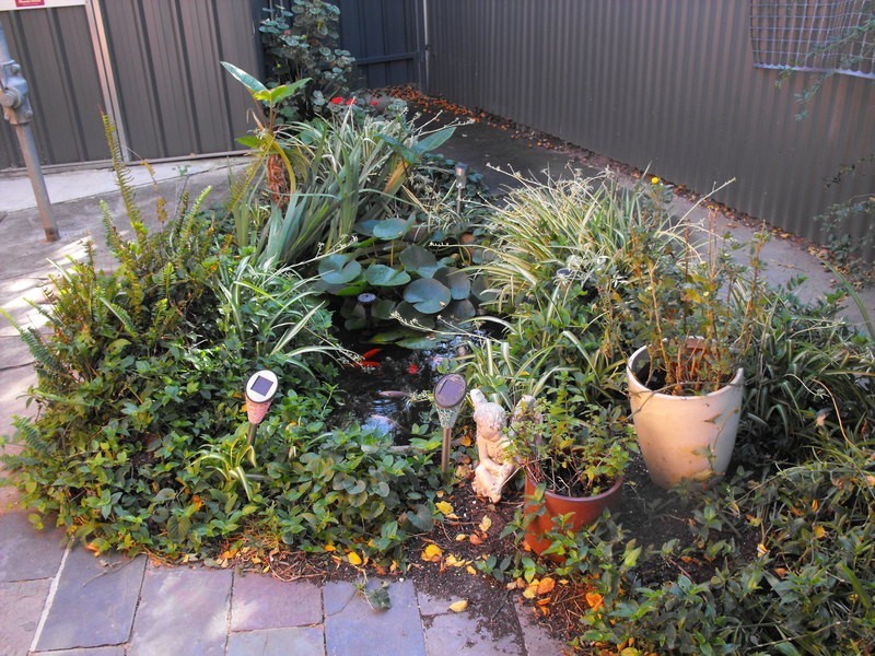 Torrens Park SA 5062