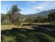 168 Forest Road, West Hobart TAS 7000