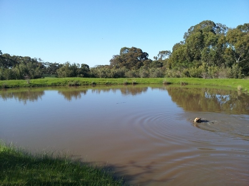 14 Mountford Road, Currency Creek SA 5214