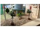 33 Clarke Street, Warwick QLD 4370