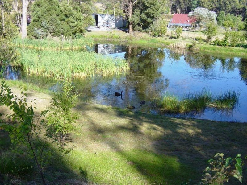 421 Long Plains Road, Bridgenorth TAS 7277