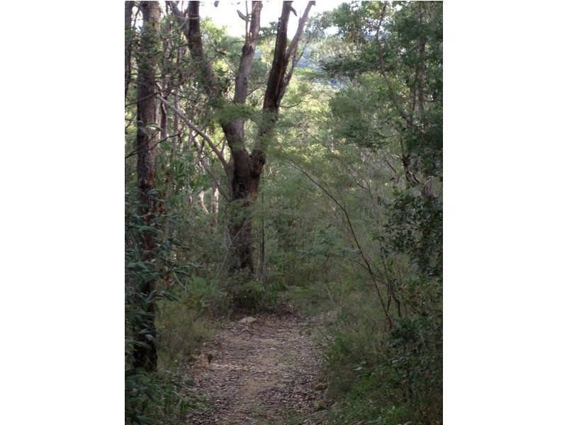 8 Spring Street, Springwood NSW 2777