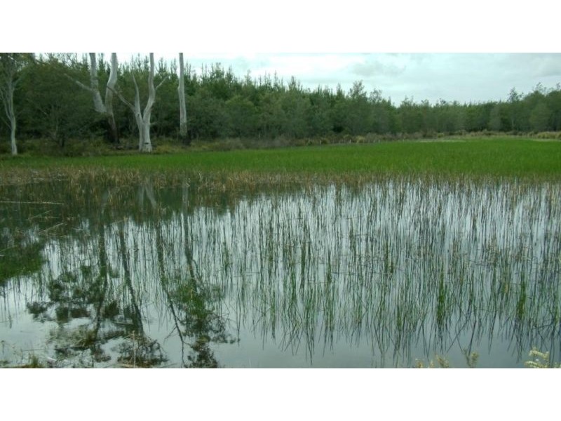 1666 Bridgenorth Road, Rosevale TAS 7292