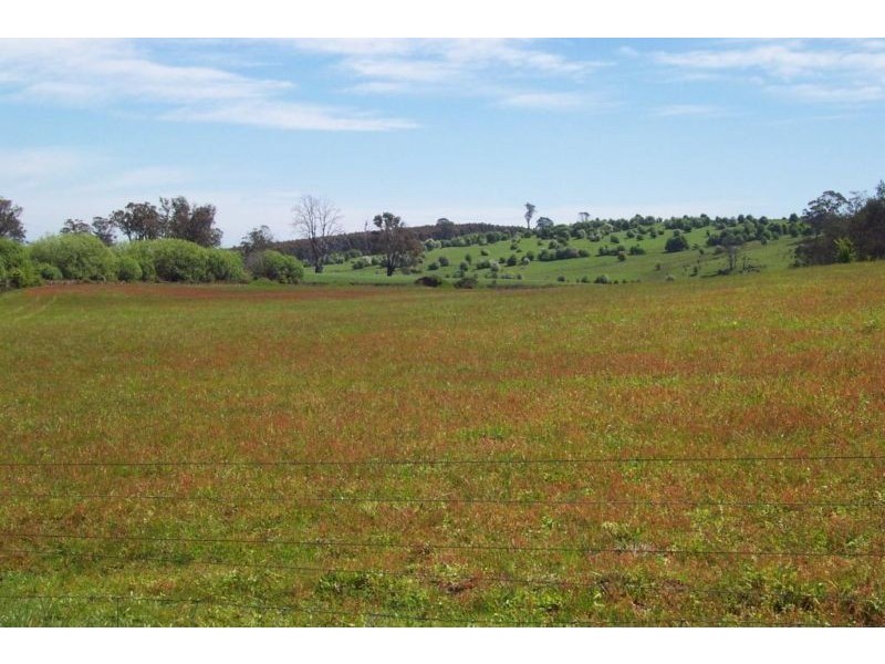 1666 Bridgenorth Road, Rosevale TAS 7292