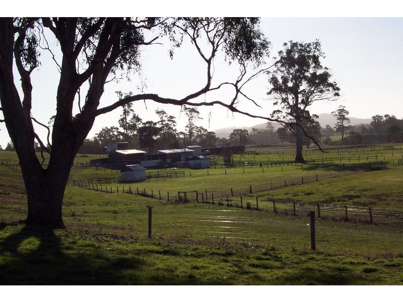 1666 Bridgenorth Road, Rosevale TAS 7292