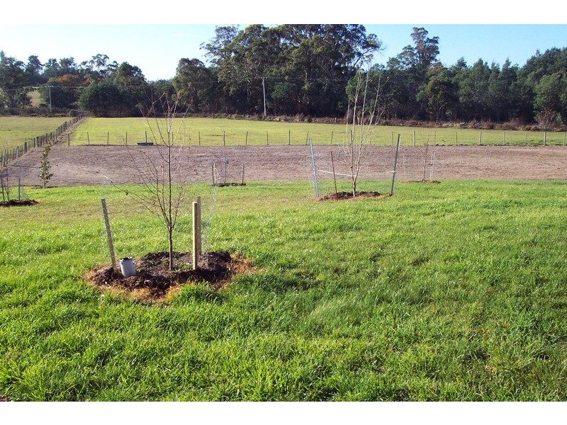 1666 Bridgenorth Road, Rosevale TAS 7292