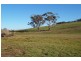 1666 Bridgenorth Road, Rosevale TAS 7292