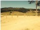 Seaforth QLD 4741