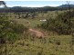 Seaforth QLD 4741