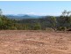 Seaforth QLD 4741