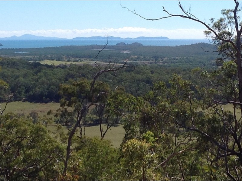Seaforth QLD 4741