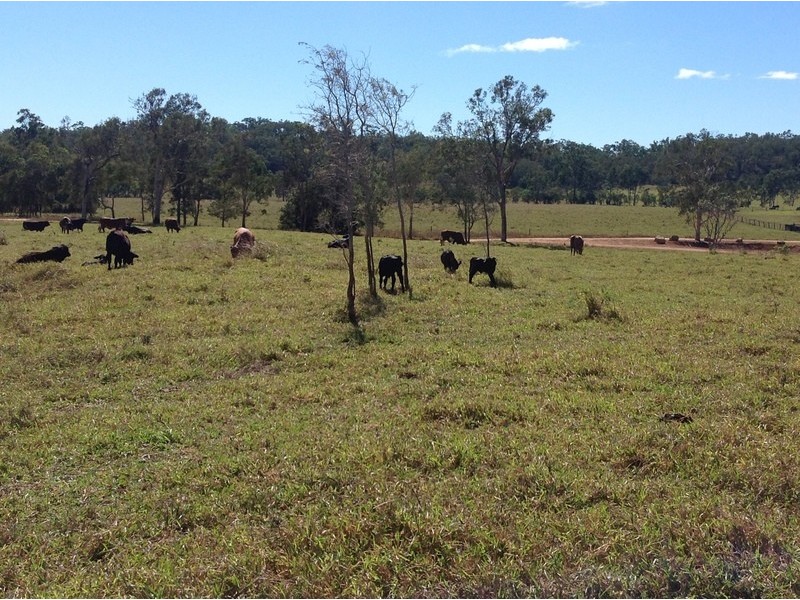 Seaforth QLD 4741