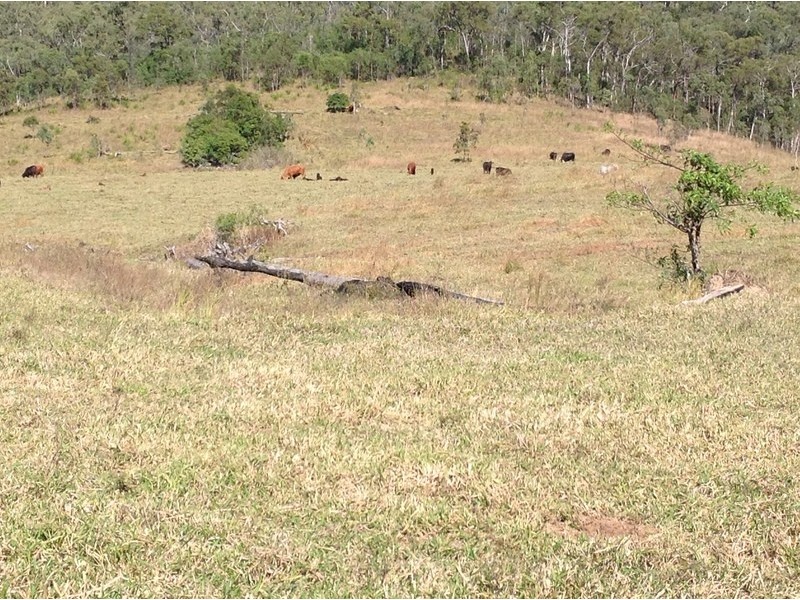 Seaforth QLD 4741