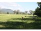 7733 Bruce Highway, Bloomsbury QLD 4799
