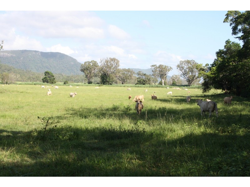 7733 Bruce Highway, Bloomsbury QLD 4799