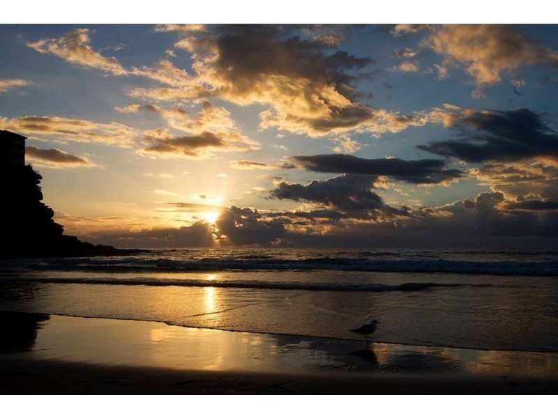 7 Palm Ave, North Manly NSW 2100